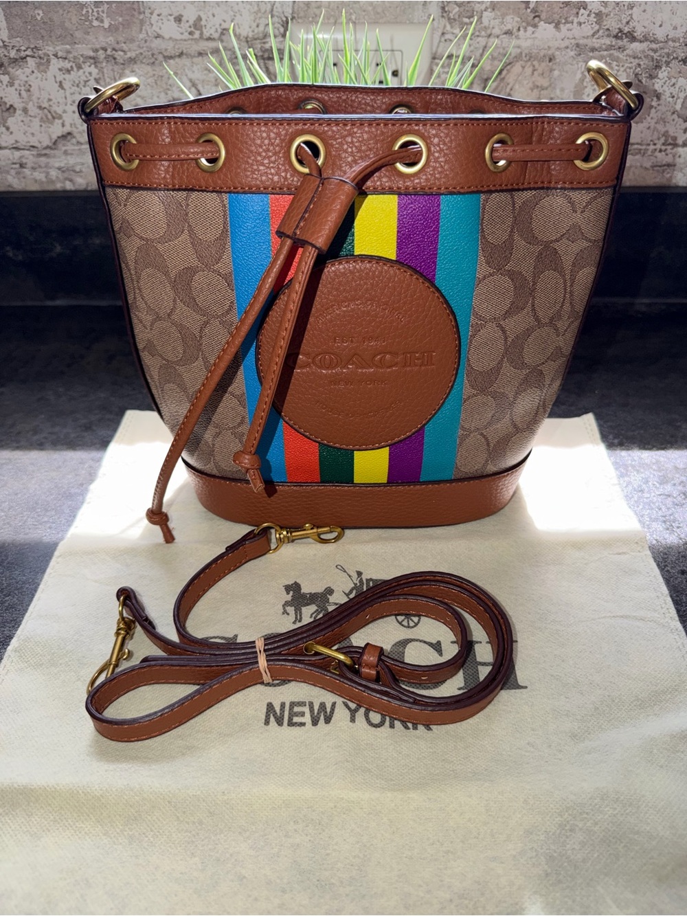 Coach Signature Canvas Stripe Bucket Bag in Brown with Multicolor Stripes